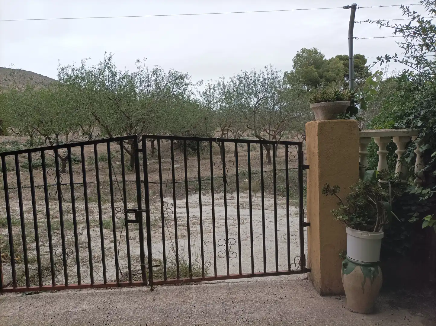 Xalet amb terrassa en venda a Diseminado Sector 2 223, imagen 14