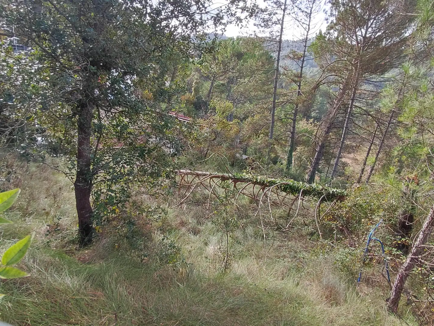 Terrain rustique à vendre à Monistrol de Calders, imagen 20