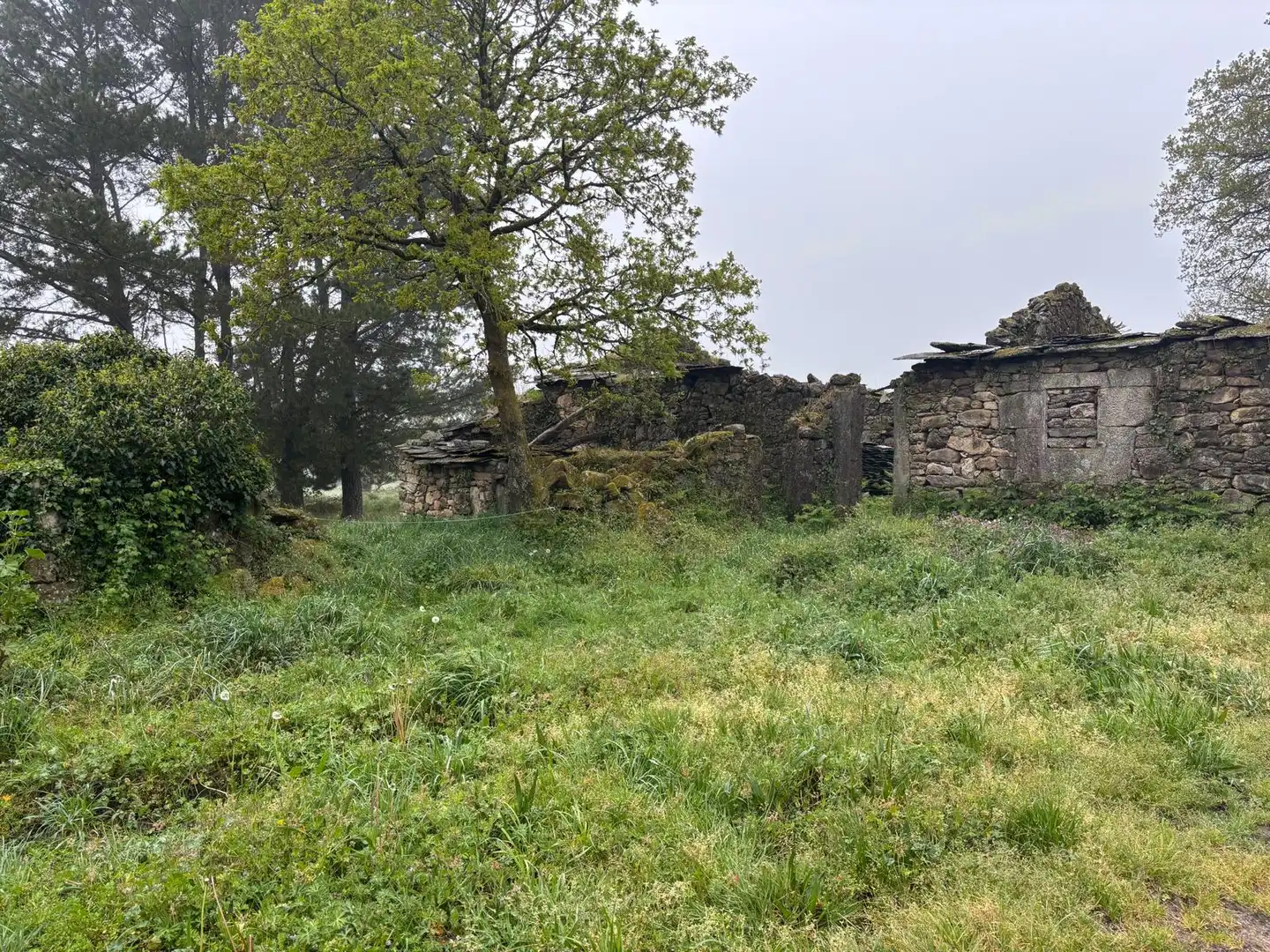 Vista exterior de Finca rústica en venta en Guitiriz
