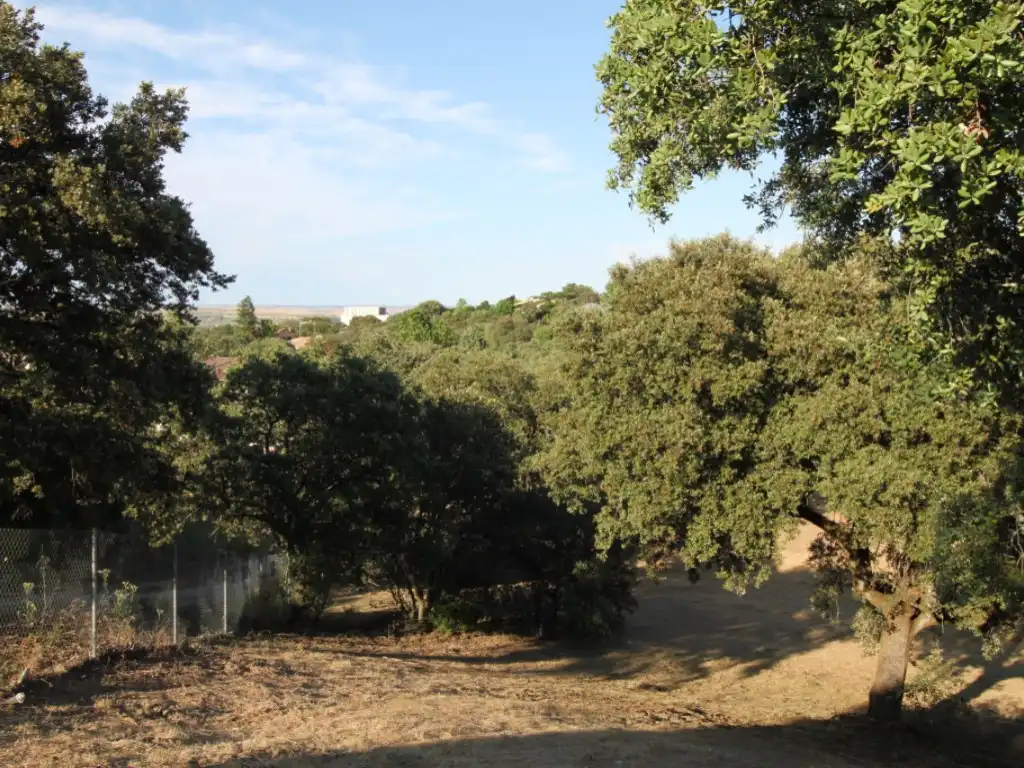 Terreny residencial en venda a Ciudalcampo, imagen 3