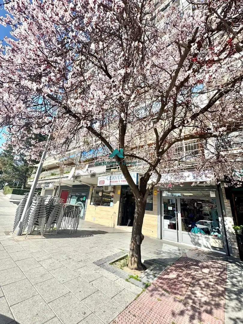 Exterior view of Commercial properties for rent in Alcorcón