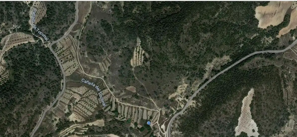 Land for sale in Jumilla