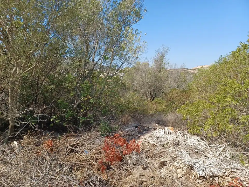Terreno en venta en El Ràfol d'Almúnia