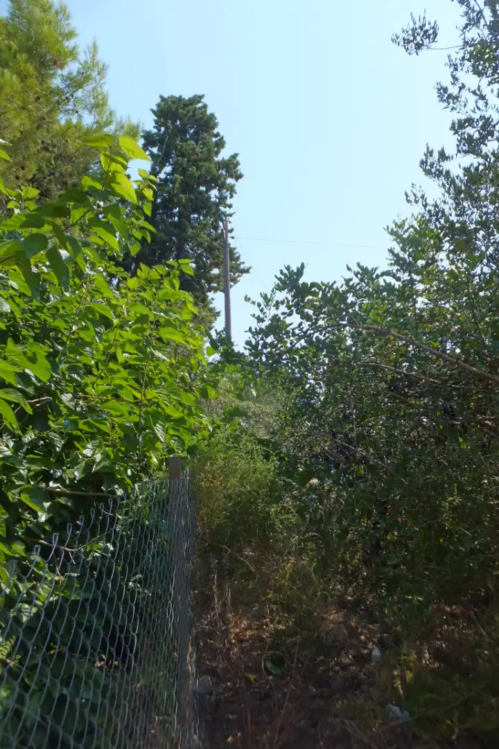 Terreno rústico en venta en Vial Camino 20, imagen 35