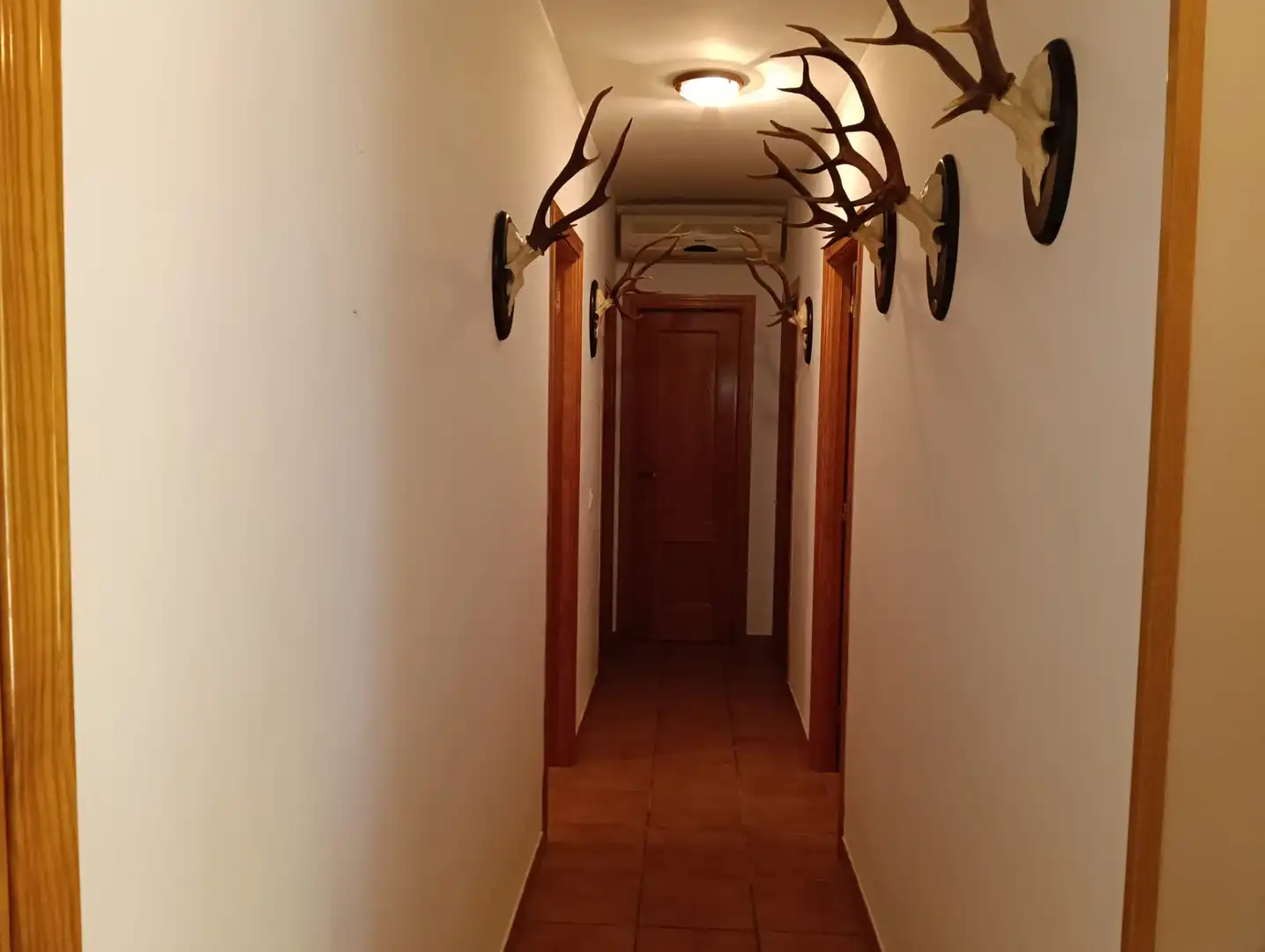 Casa o chalet en venta en Calle Río Henares, Illana
