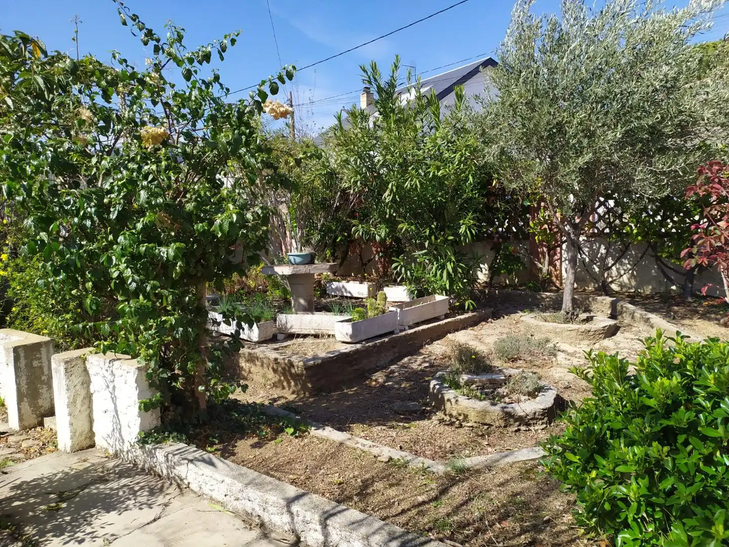 Terreno residencial en venta en Carrer Saragossa 19, imagen 9