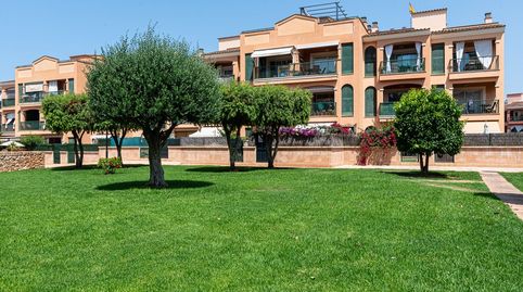 Photo 2 of Apartments for rent in Sa Torre, Llucmajor
