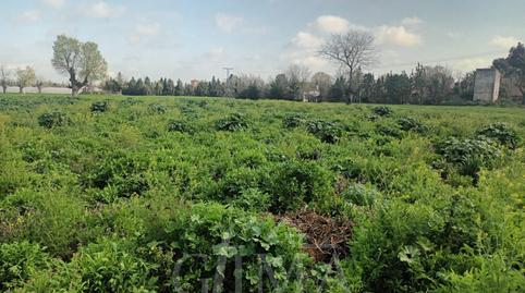 Photo 4 of Land for sale in La Poblechuela, Ciudad Real