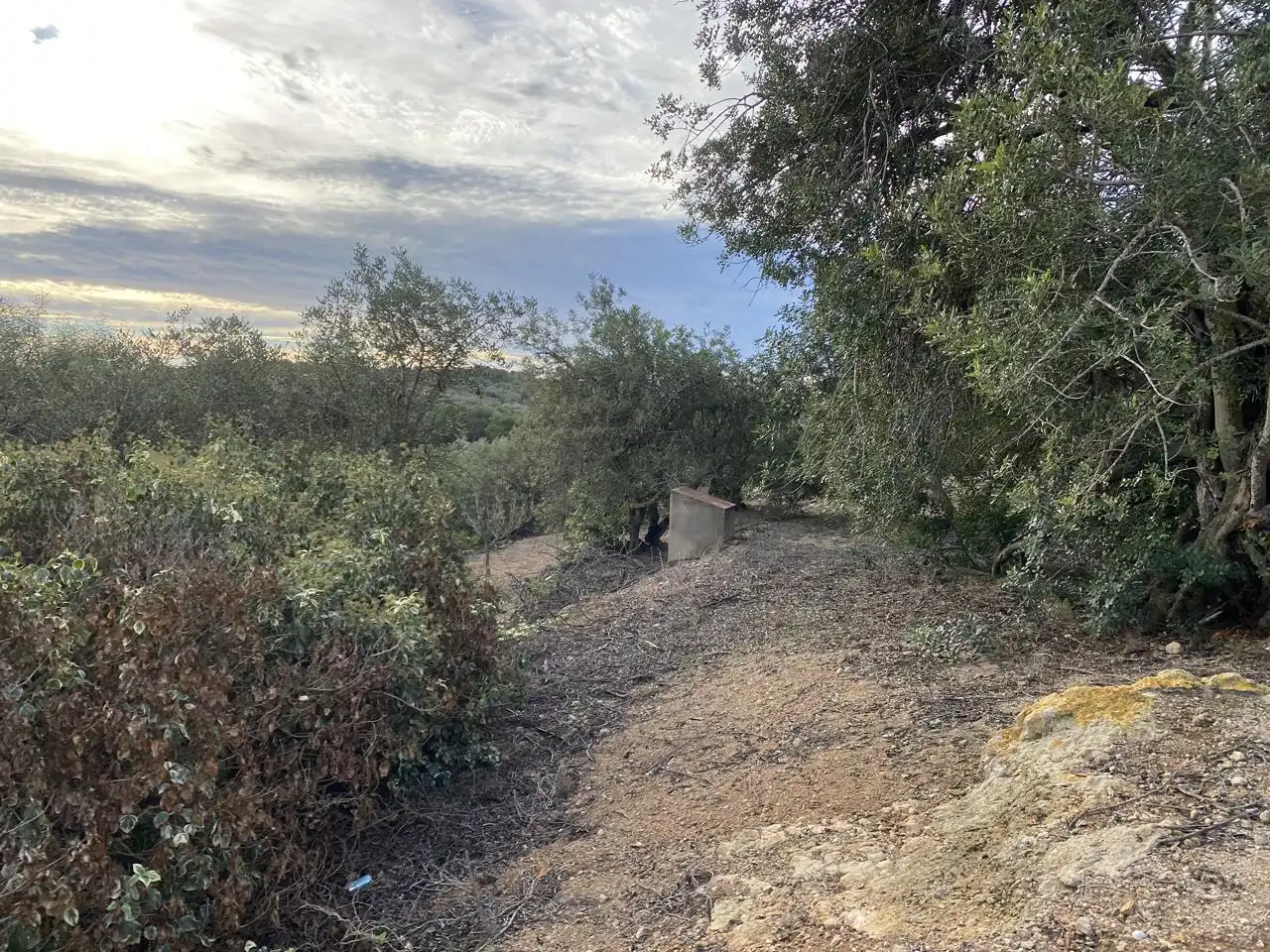 Terreno rustico in vendita a Partida Aguila, imagen 5