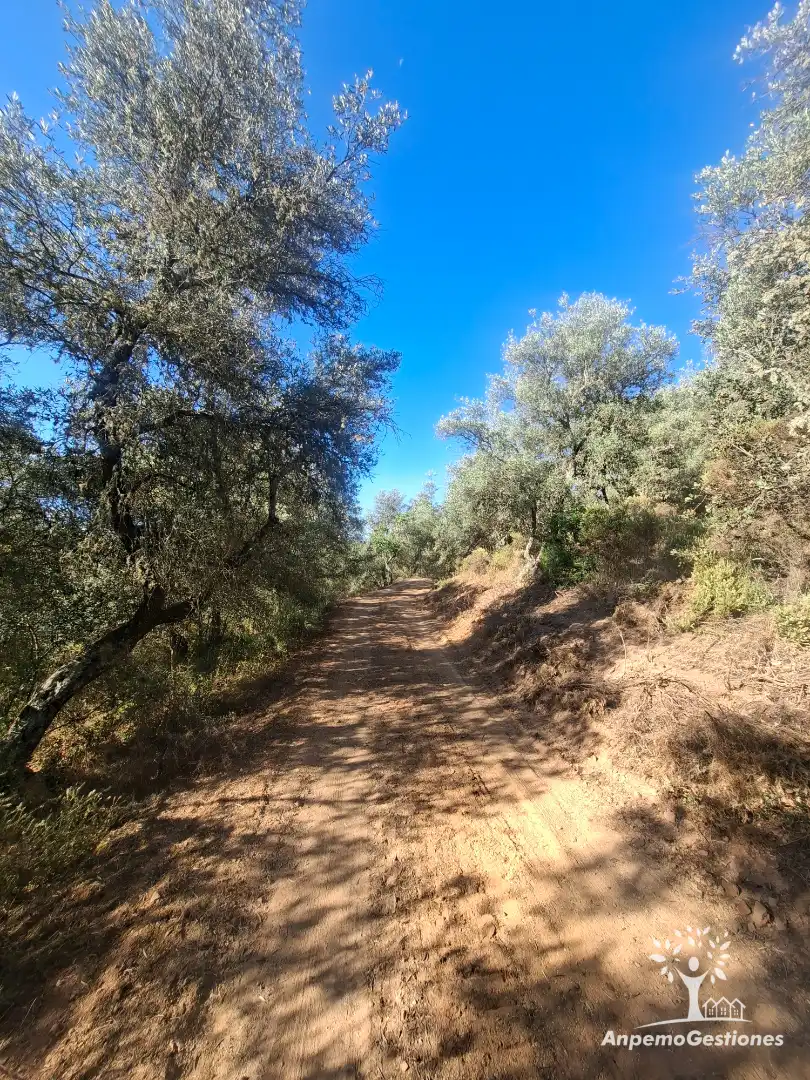 Exterior view of Land for sale in Las Navas de la Concepción
