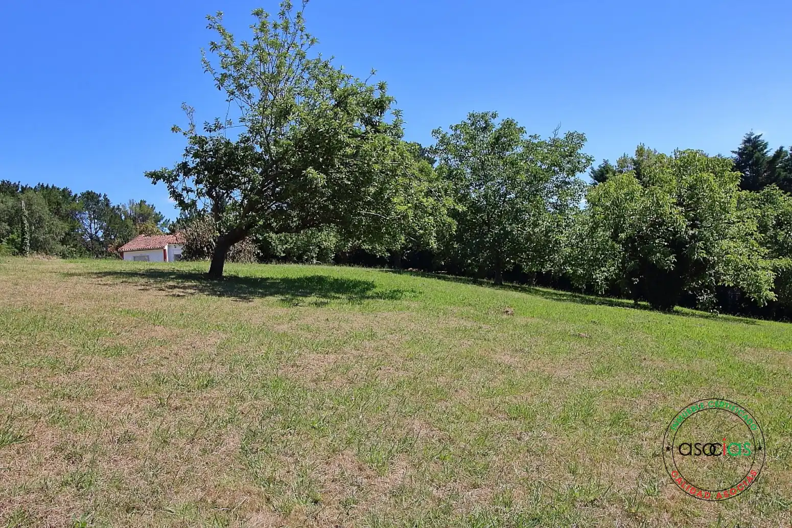 Maison à vendre à Camino Montejurra, imagen 41