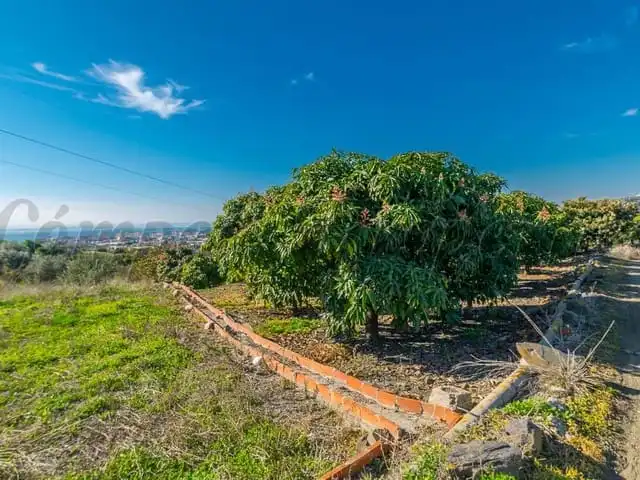 Terreni e lotti in vendita a Torrox Pueblo, imagen 11