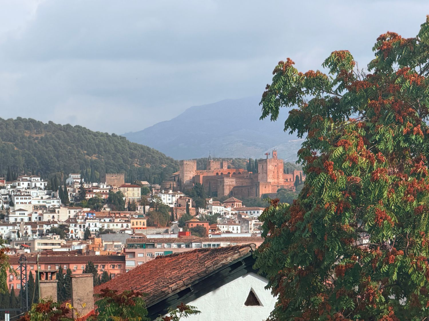 Vista exterior de Pis en venda en  Granada Capital