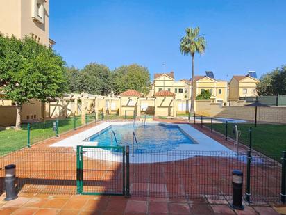 Swimming pool of Planta baja for sale in Jerez de la Frontera  with Air Conditioner, Private garden and Parquet flooring