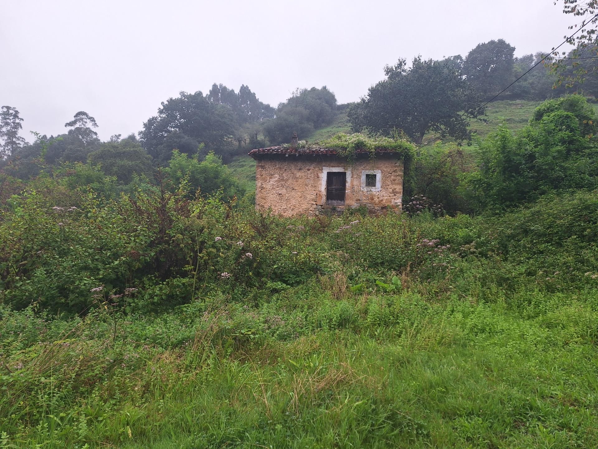 House or chalet for sale in Solórzano