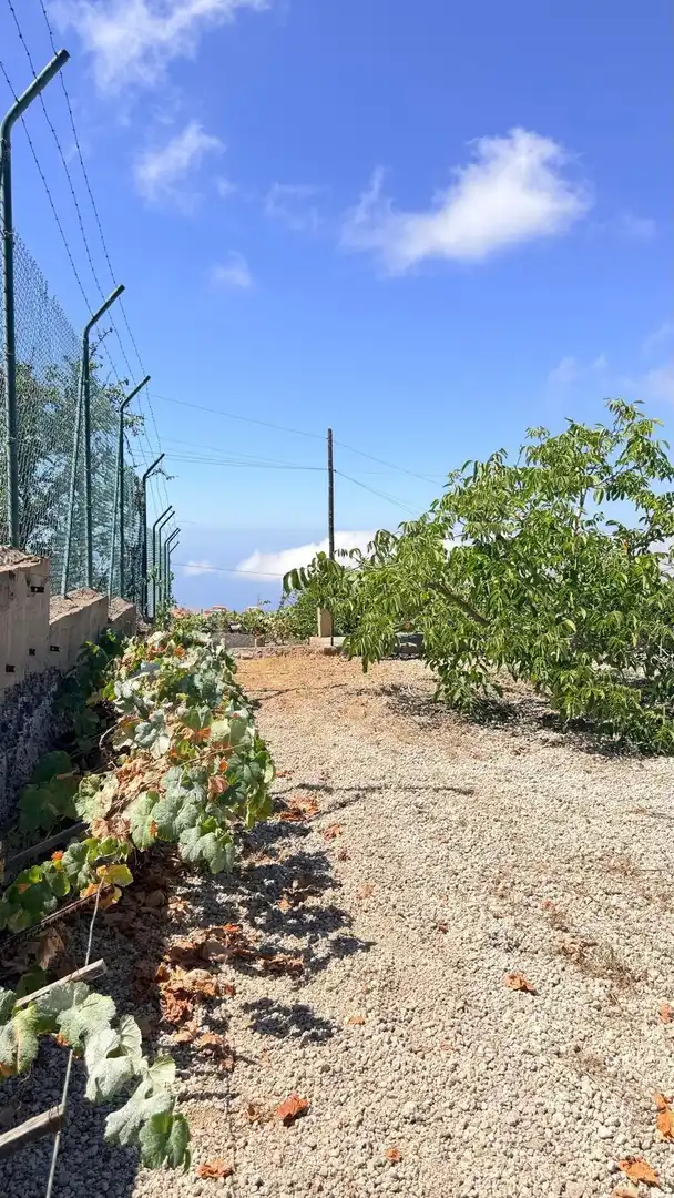 Vista exterior de Finca rústica en venta en Arona pueblo