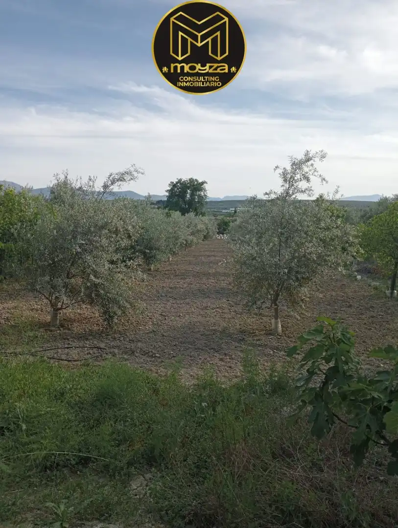 Villa zum Verkauf in Begíjar, imagen 26