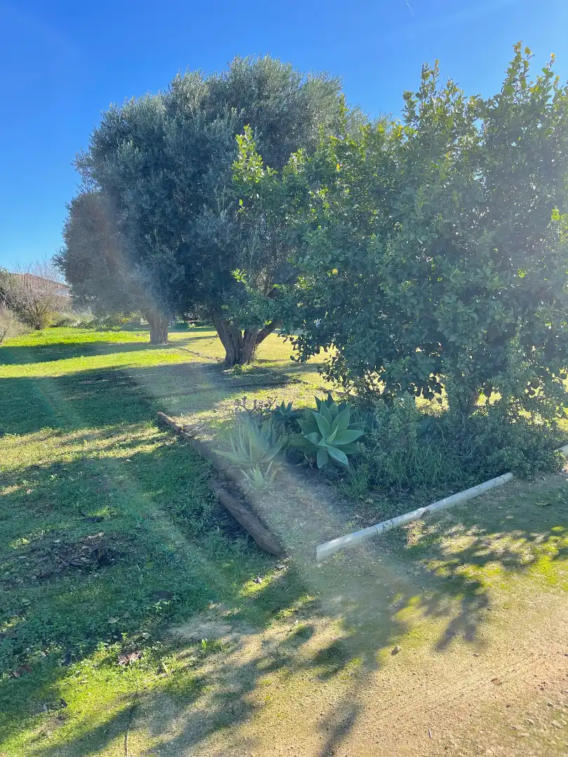 Jardí de Casa o xalet en venda en Chiclana de la Frontera amb Calefacció, Jardí privat i Moblat