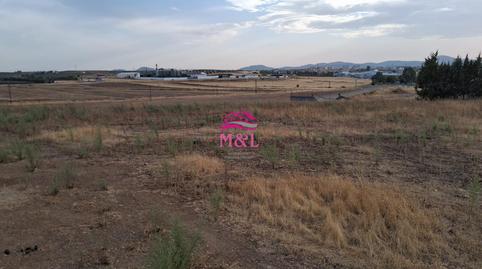 Foto 3 de Finca rústica en venta en Este, Badajoz