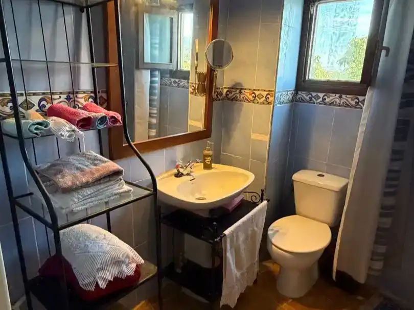 Bany de Finca rústica en venda en Benamargosa amb Aire condicionat, Piscina i Balcó