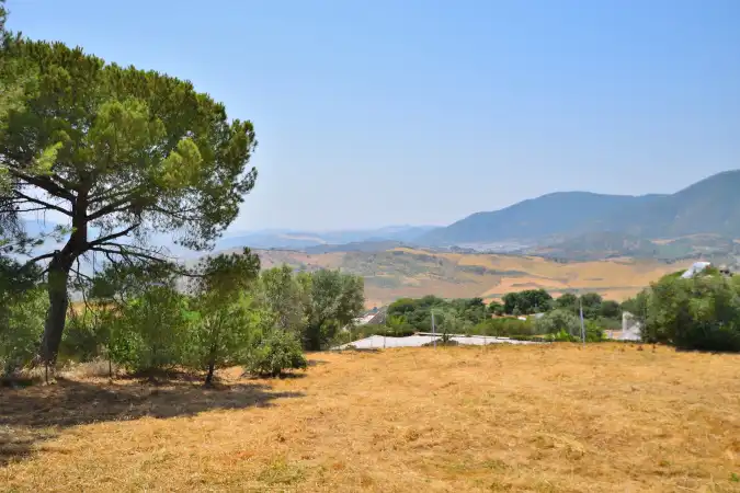 Terrain rustique à vendre à El Gastor, imagen 17