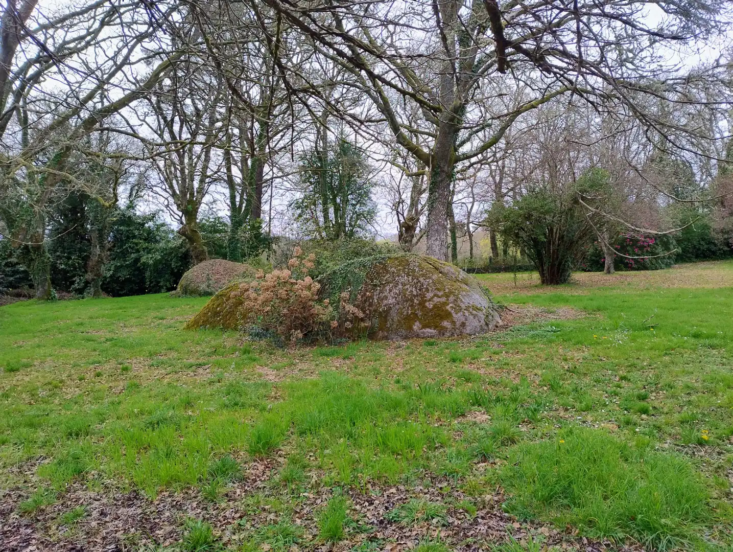 Casa o chalet en venta en Lugo con Amueblado