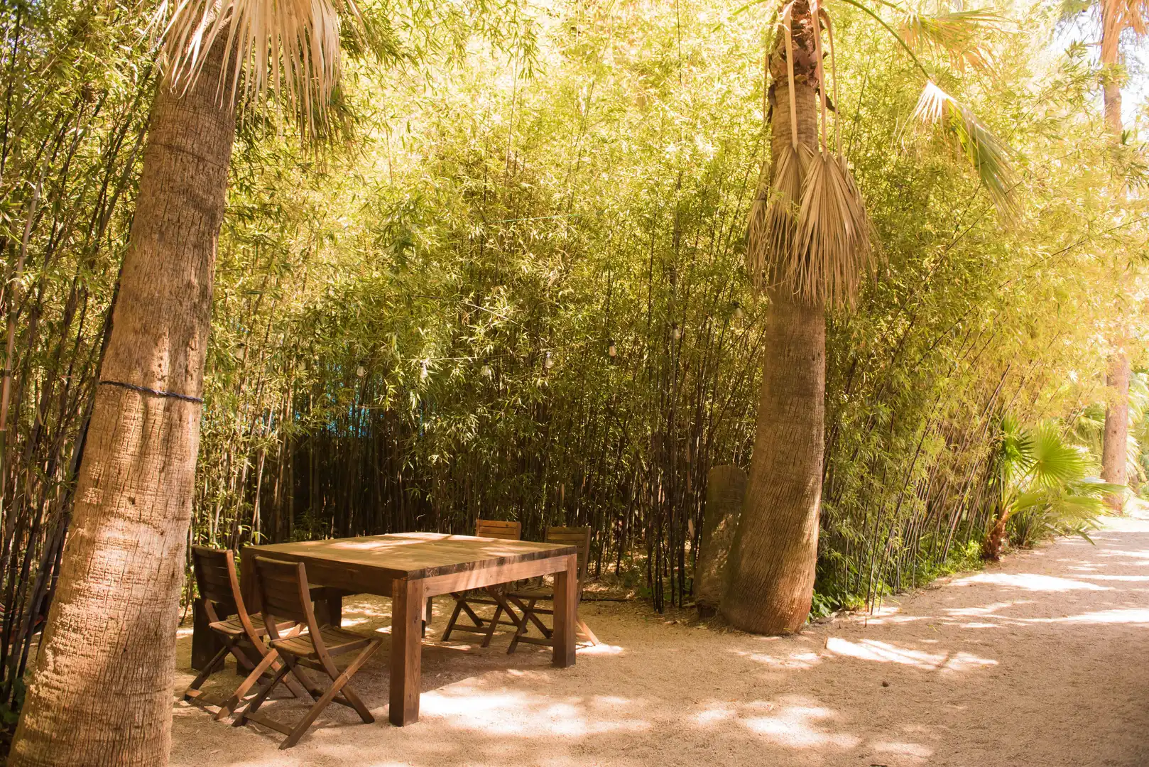 Jardín de Finca rústica en venta en Sagra con Aire acondicionado, Terraza y Piscina