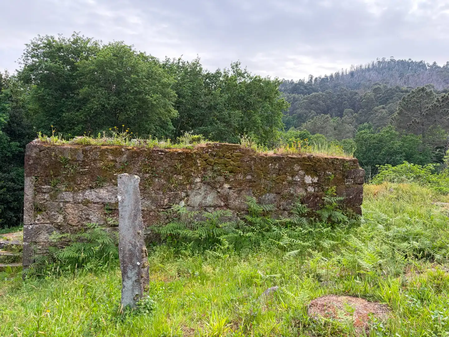 Terreno residenziale in vendita a A Cañiza, imagen 4