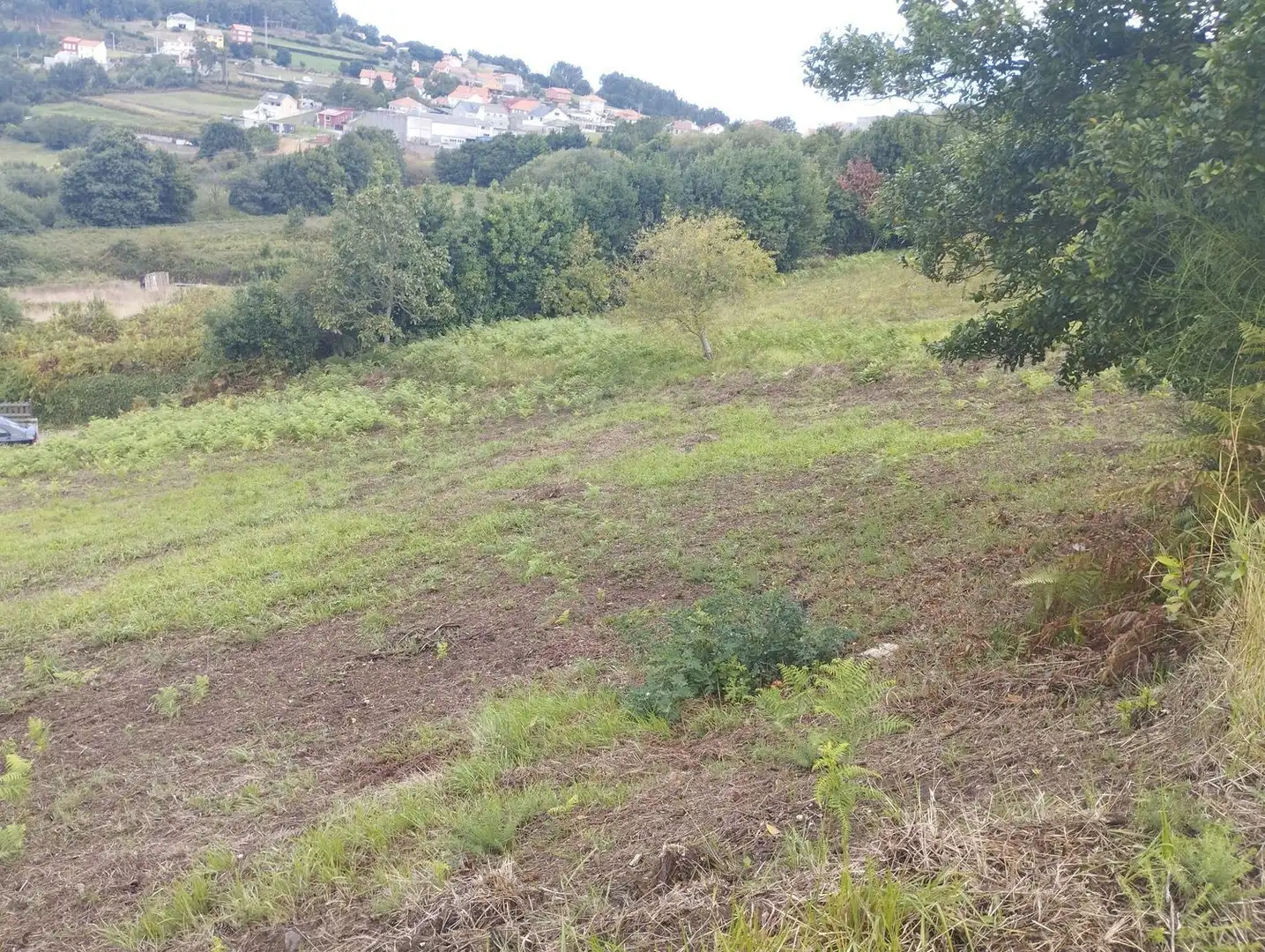 Terrain rustique à vendre à Camino Lugar, imagen 6