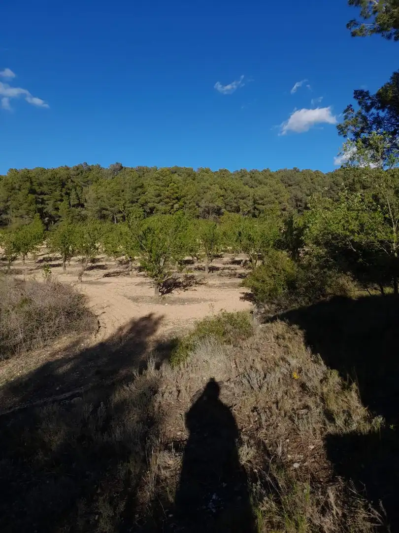 Terreno en venta en El Vilosell