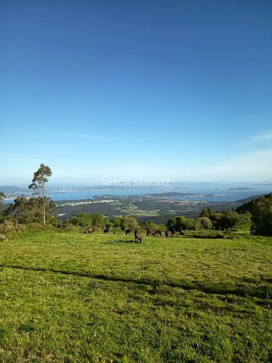 Rural land for sale in N/A, imagen 4