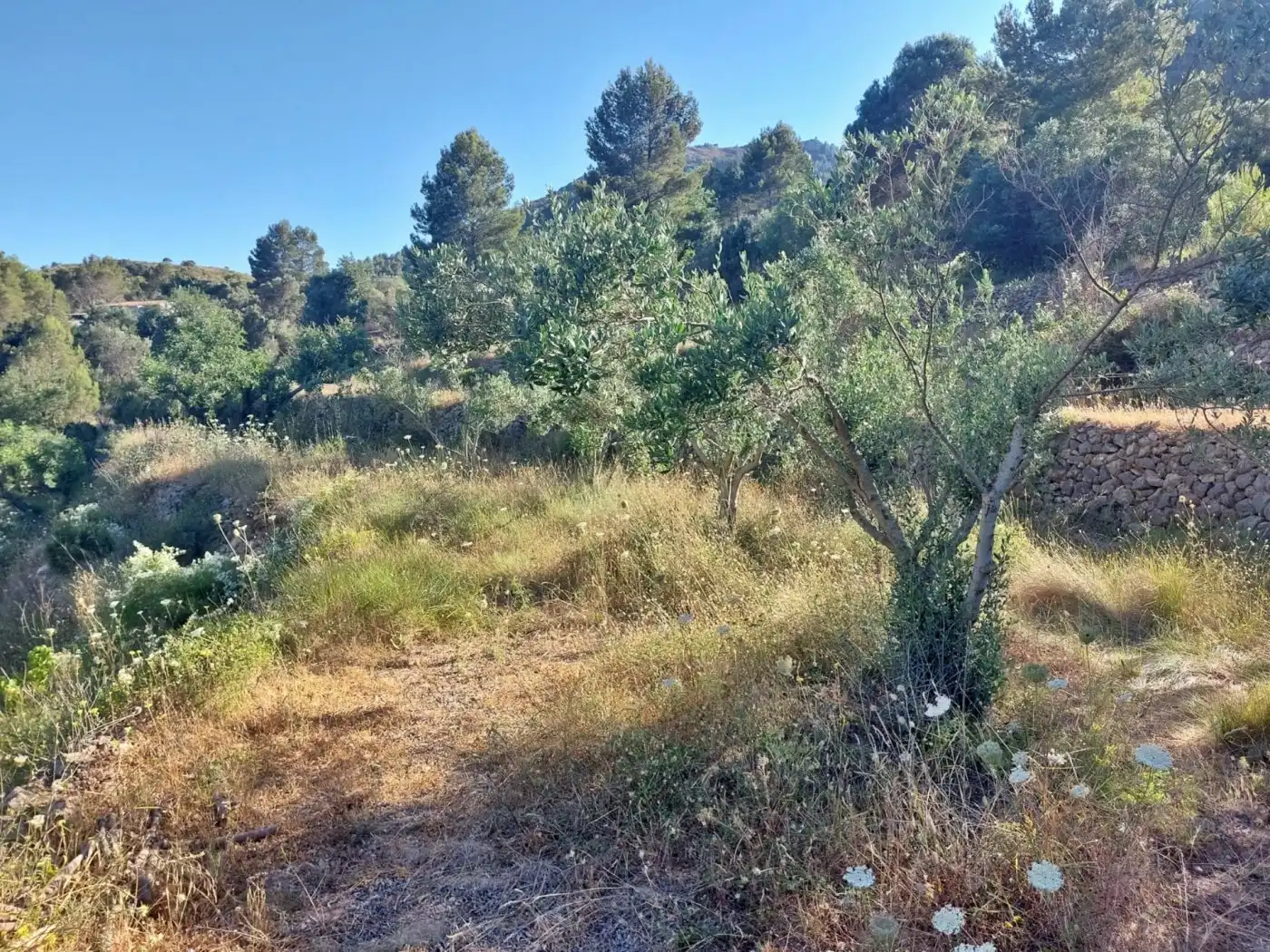 Maison à vendre à Xaló, imagen 12