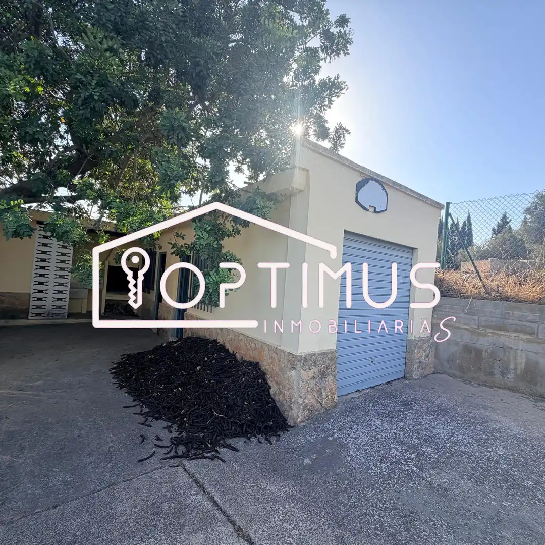 Exterior view of Houses for sale in Loriguilla  with Swimming Pool
