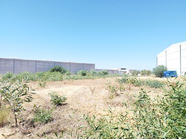 Industriegrundstück zum Verkauf in Calle la Sisera