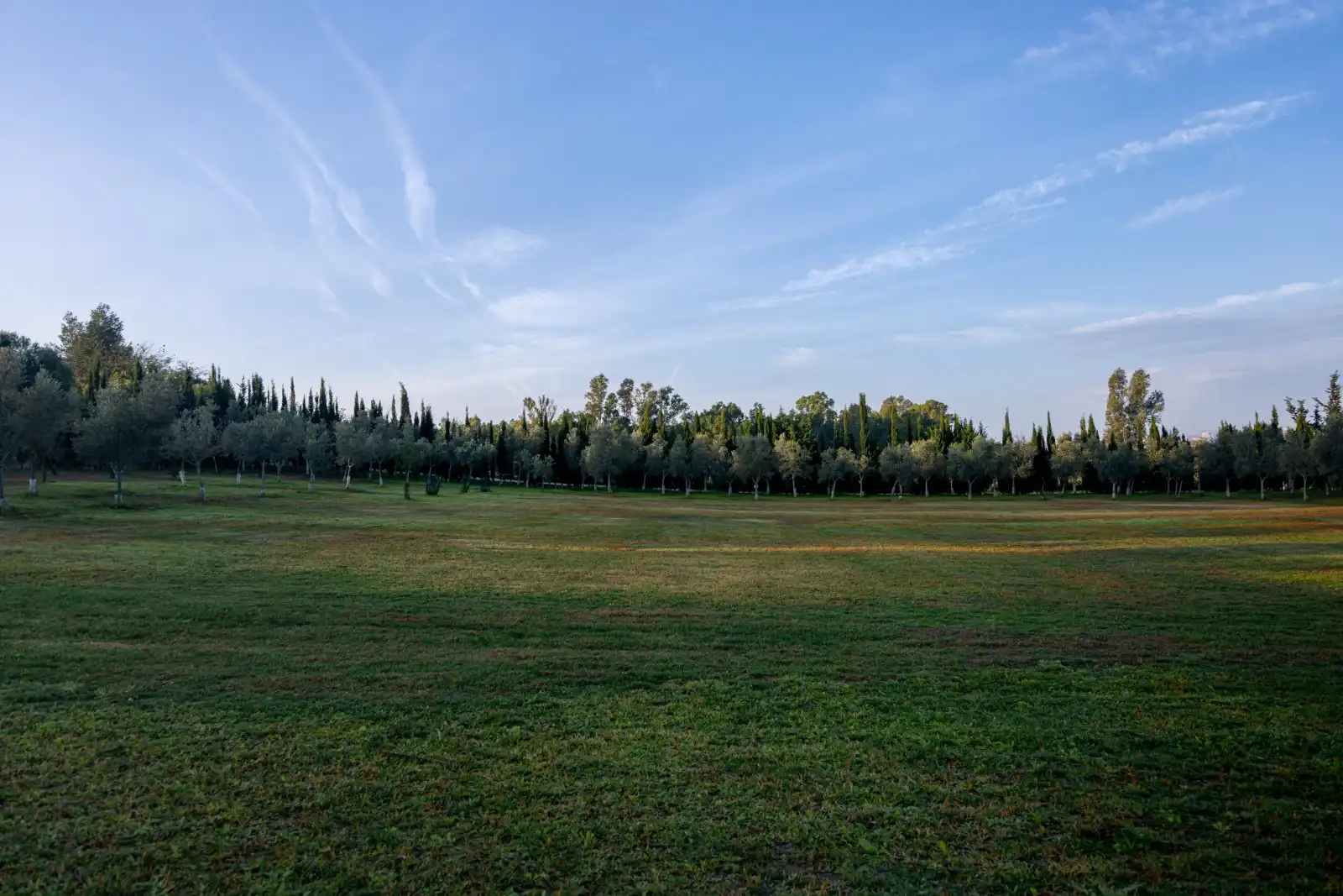 Finca rústica en venta en Jerez de la Frontera con Jardín privado