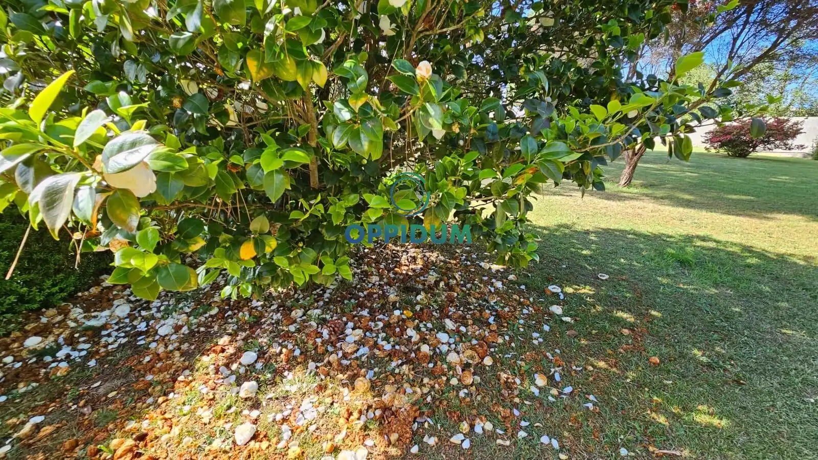 Terreni e lotti in vendita a Polígono 192 Parcela 414 AGRA DA LEIRA CARBALLO, imagen 12