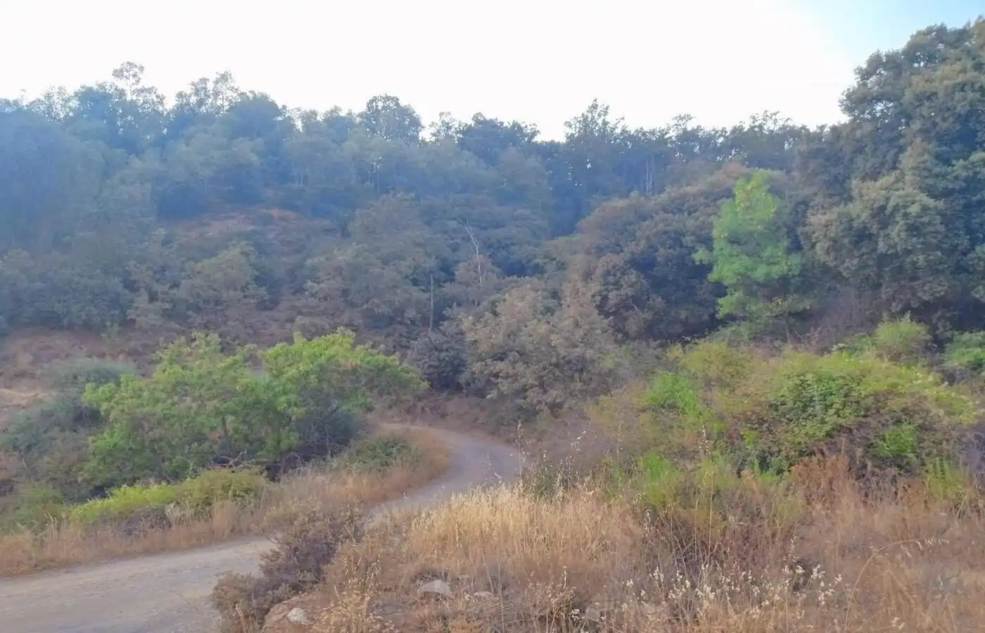 Land for sale in Busquístar