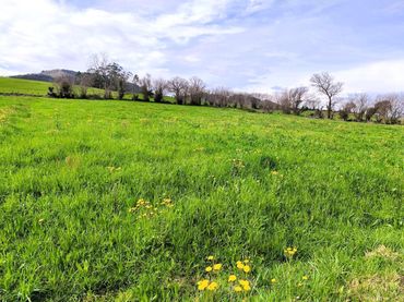 Rustikales Grundstück zum Verkauf in Santa María de Cayón
