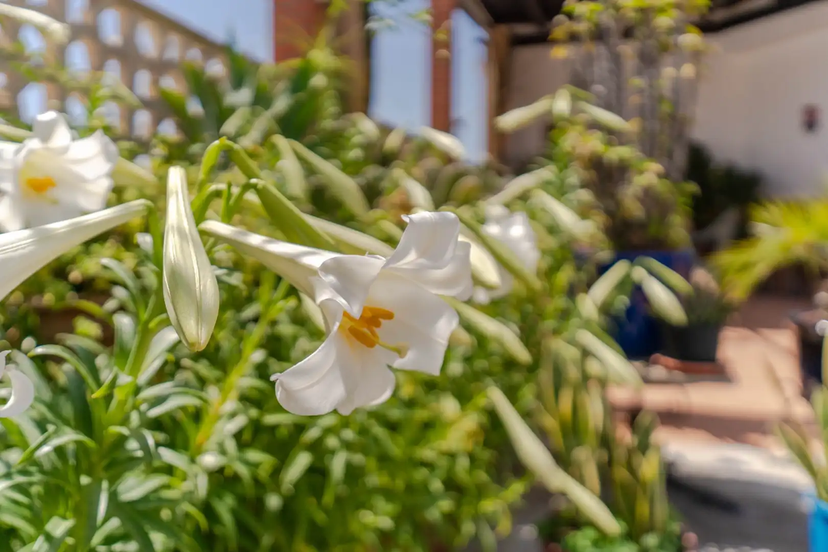 Garten von Country house zum Verkauf in Motril mit Heizung, Abstellraum und Schwimmbad