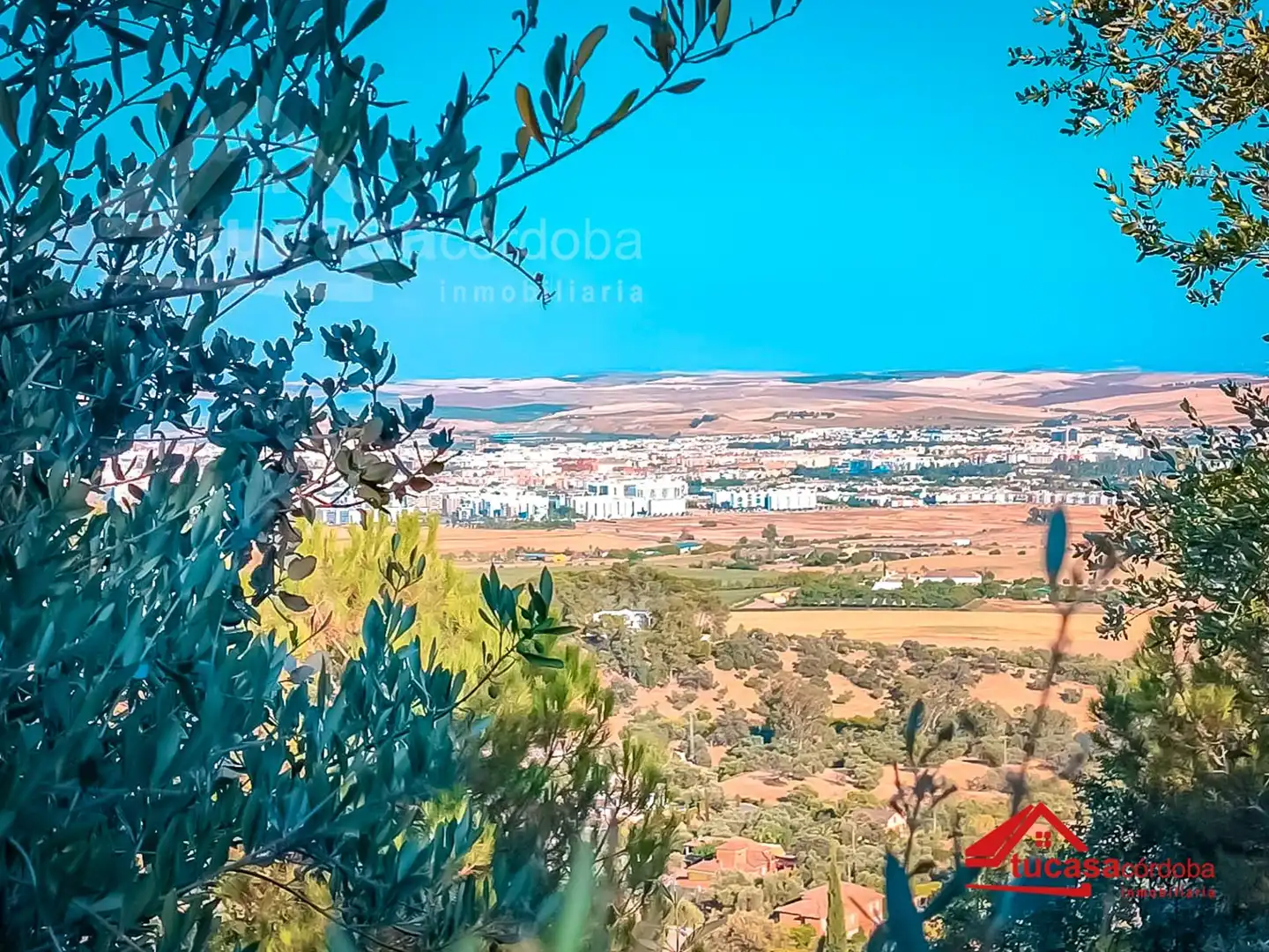 Chalet con piscina en venta en Periurbano Oeste - Sierra, imagen 16