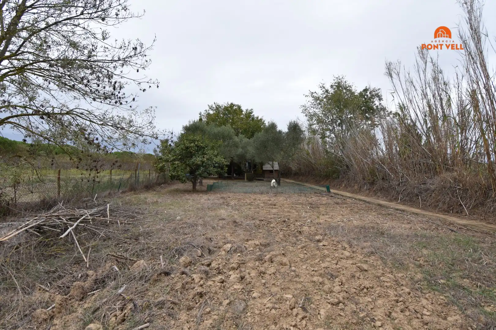 Terrenos y solares en venta en Cruïlles, Monells I Sant Sadurní de L'Heura, imagen 5