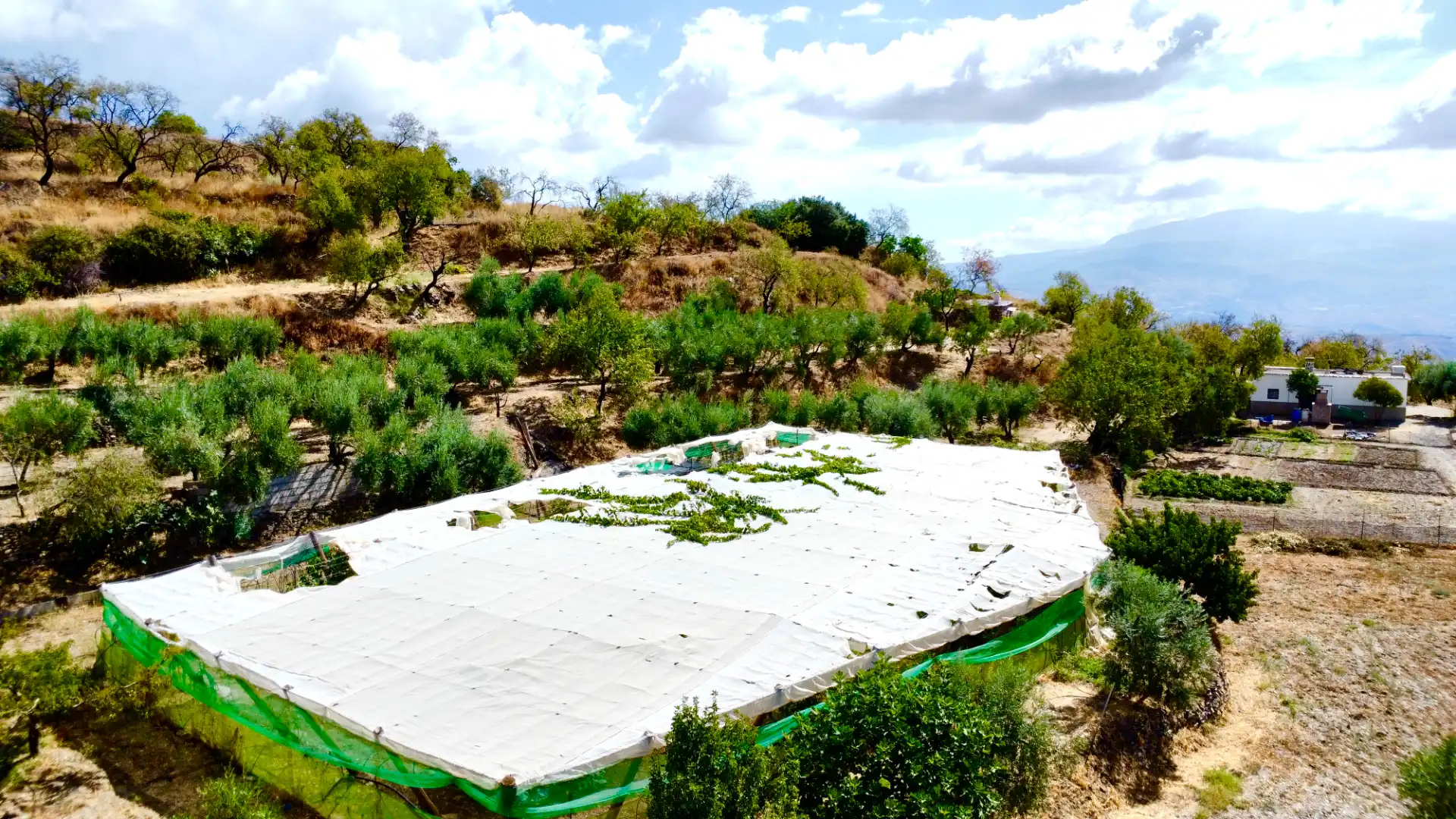 Terreno rustico in vendita a N/A, imagen 6