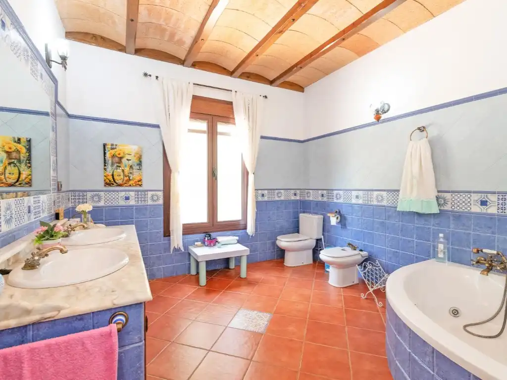 Bany de Finca rústica en venda en Villanueva del Trabuco amb Aire condicionat, Jardí privat i Terrassa
