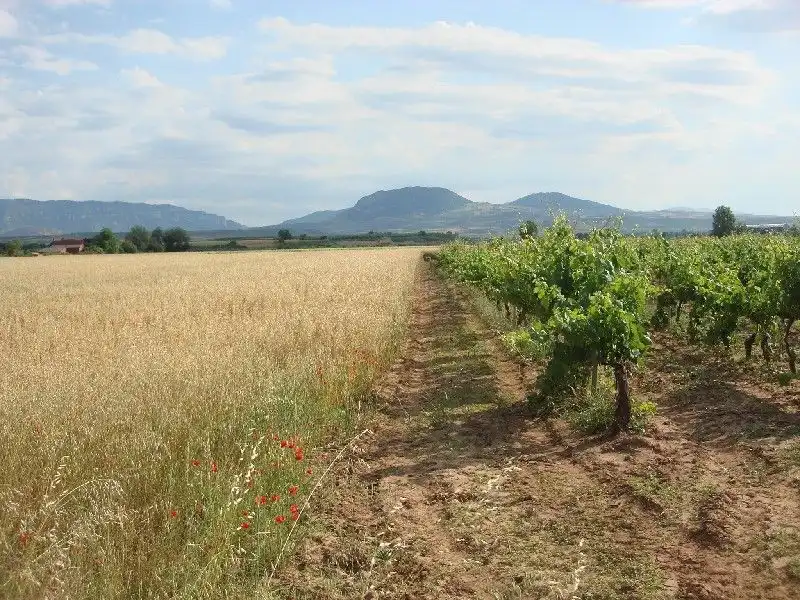 Terreny rústic en venda a Villamediana de Iregua, imagen 2