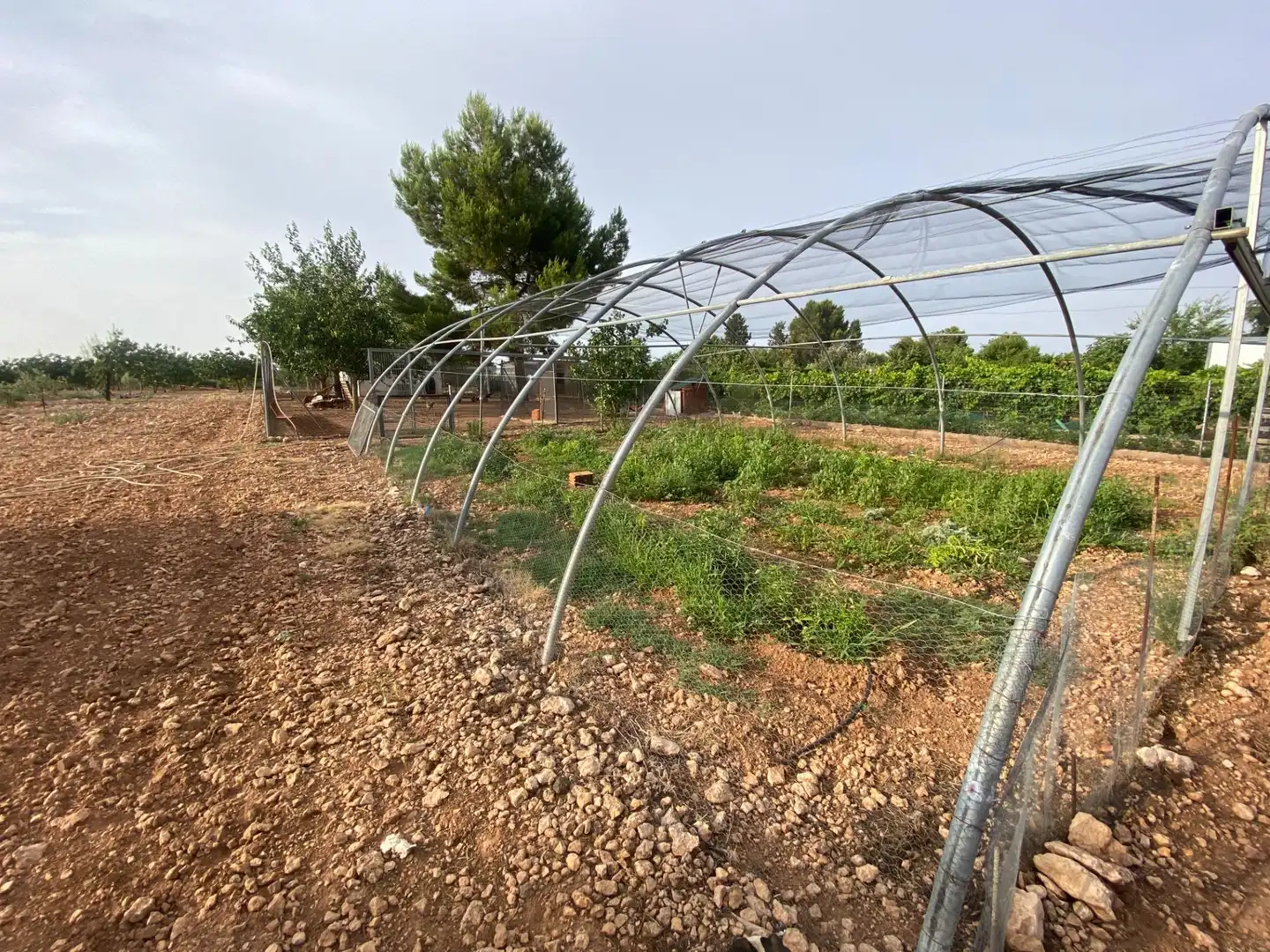 Casa o chalet en venta en Ciudad Real con Aire acondicionado, Calefacción y Jardín privado