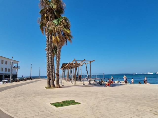 Planta baja en Alquiler en Es Portixol - Es Molinar