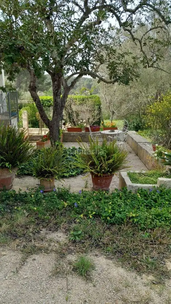 Villa à vendre à Polígono 19, imagen 11