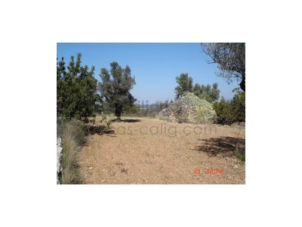 Terreny residencial en venda a San Jorge / Sant Jordi, imagen 9