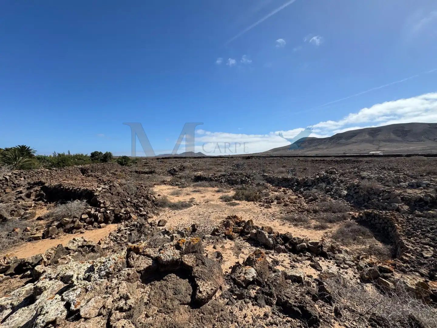 Land for sale in La Oliva
