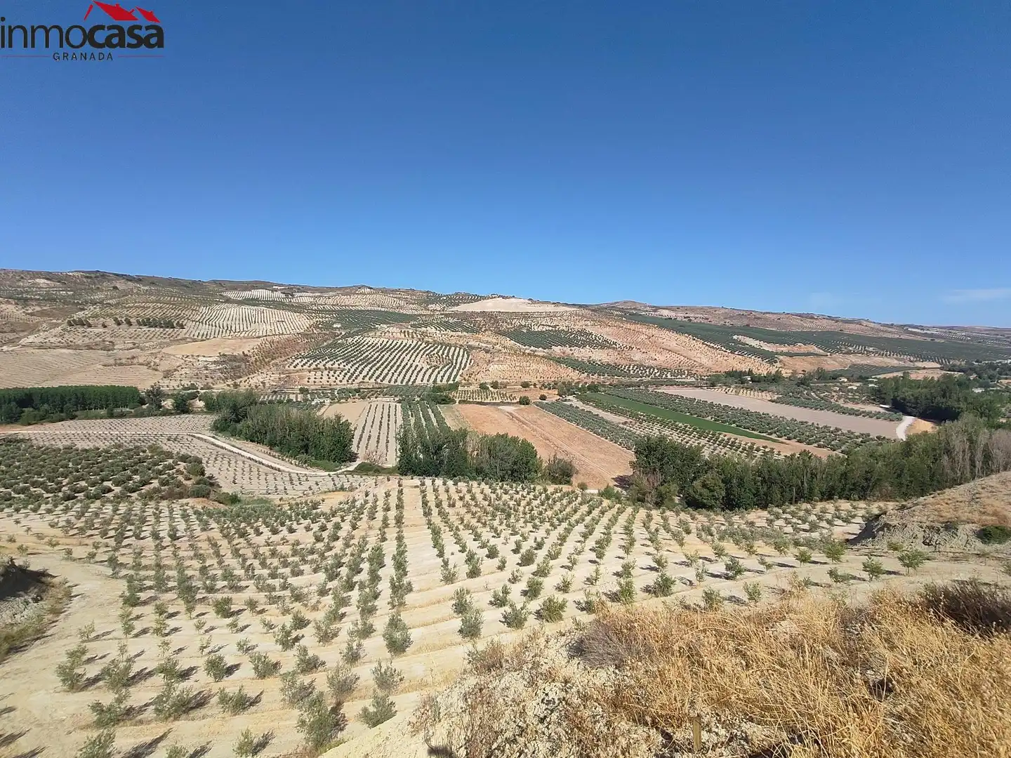 Rural land for sale in Santa Cruz del Comercio, imagen 11